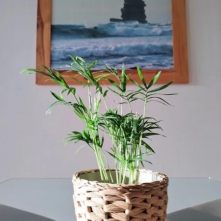 Bela Vista_ Cozy With Sea View Apartment Aljezur
