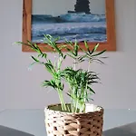 Bela Vista_ Cozy With Sea View 公寓 阿尔热祖尔